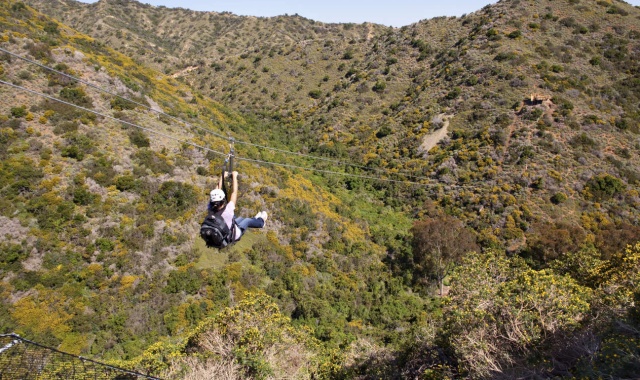 Catalina Island: Zipline Eco Tour