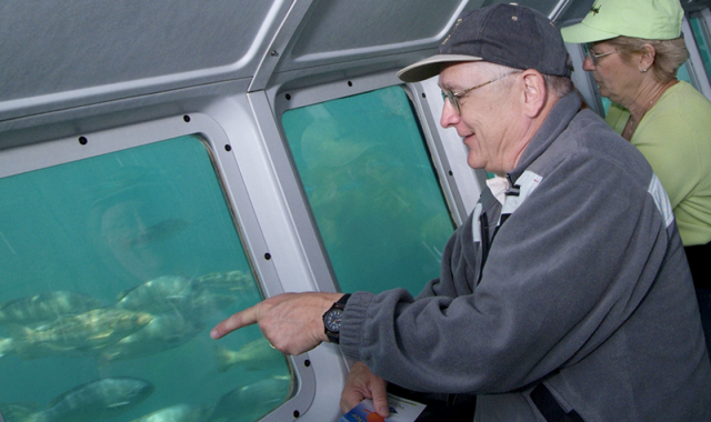 Catalina Undersea Submarine Tour (from Los Angeles)
