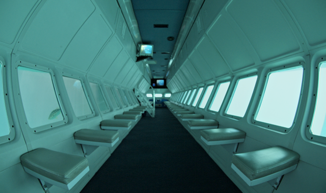 Catalina Undersea Submarine Tour (from Los Angeles)