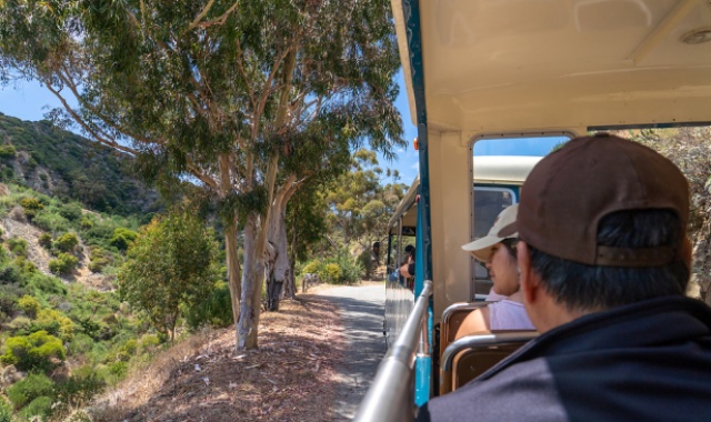 Los Angeles: Santa Catalina Island Open Bus Tour