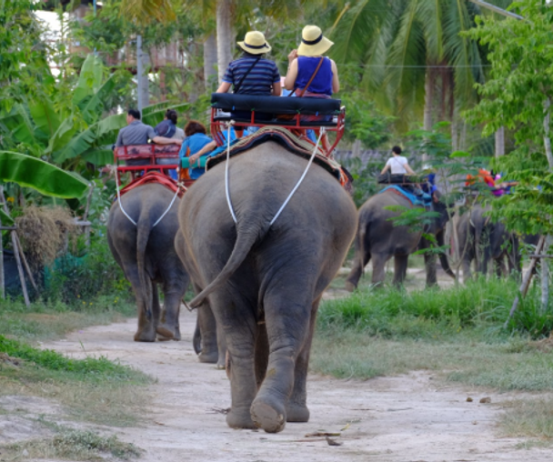 activity_detail_image