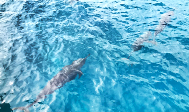 activity_detail_image