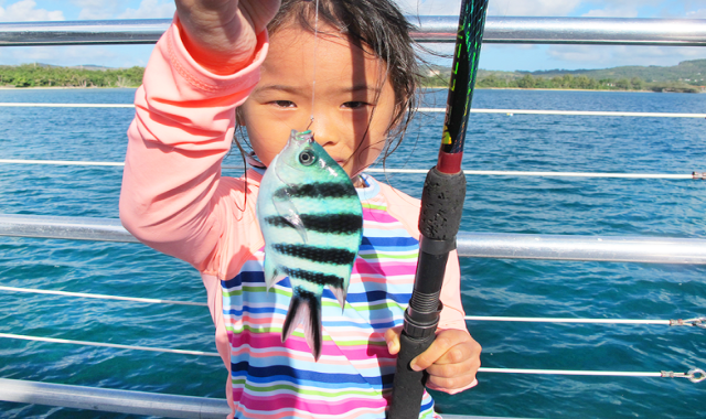괌 데이투어 돌핀크루즈 (스노클링, 참치회, 음료 제공)