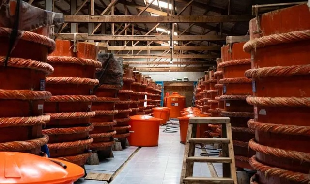 푸꾸옥 남부 일일 투어 - 사오비치, 코코넛 수용소, 선셋타운