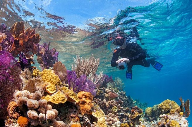 푸꾸옥 로이섬 스쿠버 다이빙 투어 (WAUG Exclusive)