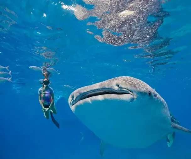 activity_detail_image