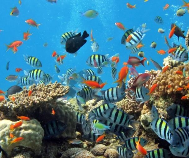 activity_detail_image
