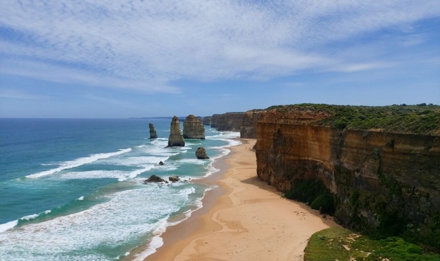 [멜버른매직] 최대 6명! 그레이트 오션로드 & 그로또 & 깁슨스텝 투어