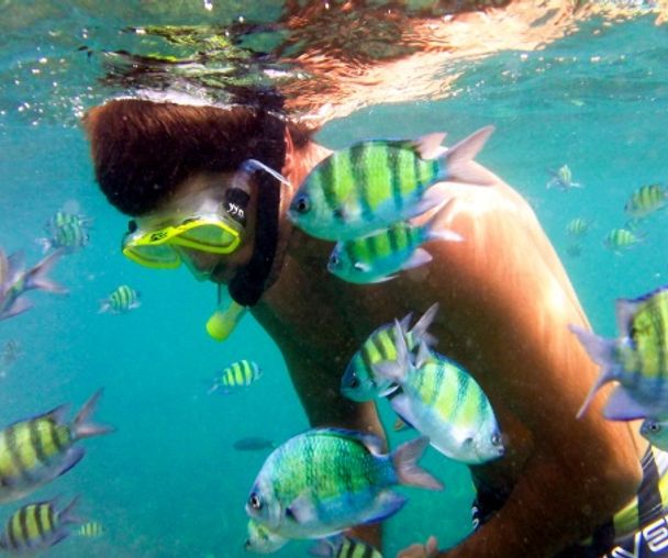 activity_detail_image