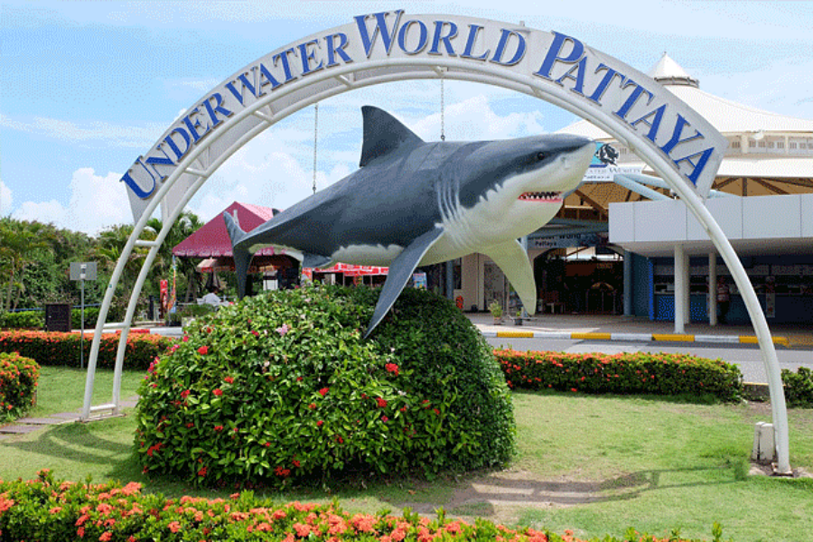 Pattaya Underwater World Ticket
