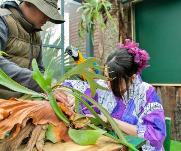 activity_detail_image