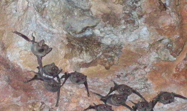 activity_detail_image
