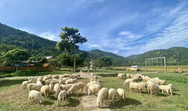 ニャチャン・ニントゥアン近郊プライベートツアー