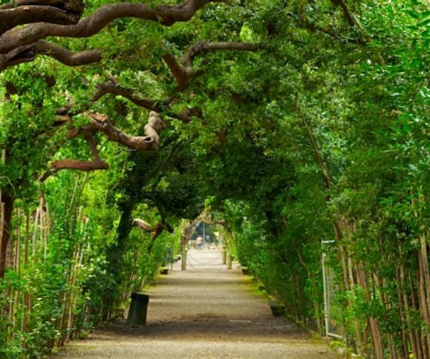 activity_detail_image