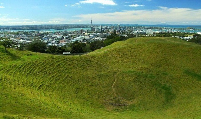 [마이리얼NZ투어] 오클랜드 공항픽업과 반나절 투어 - 한국인, 소그룹, 벤츠 스프린터
