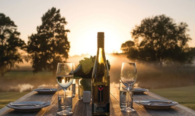 [마이리얼NZ투어] 오클랜드 야경 투어 + 서해안 + 와이너리 단독 투어