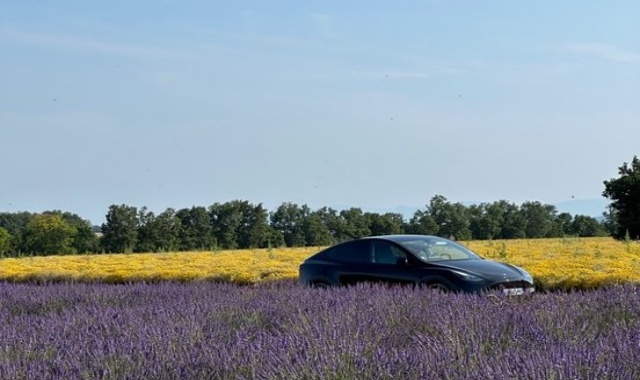 [파리봐야지] 아비뇽 출발: 뚜르 드 남프랑스 고품격 투어