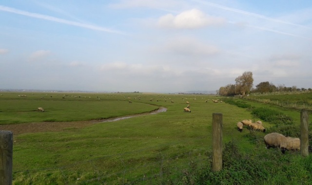 [파리봐야지] 몽생미셸, 옹플뢰르, 에트르타 선셋 프라이빗 투어