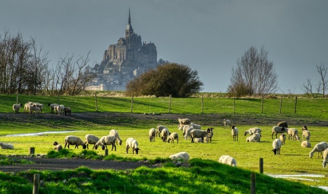 [파리봐야지] 몽생미셸의 주경과 야경 & 옹플뢰르 투어
