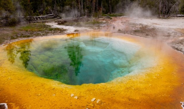 [마이투어스토리] [5박6일 / VIP 호텔] 그랜드캐년 & 옐로우스톤, 자이언 / 브라이스 / 앤탈롭캐년 / 홀슈밴드 투어