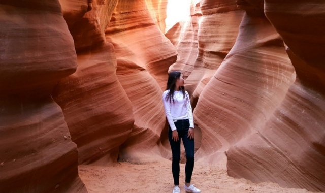 [마이투어스토리] [5박6일 / VIP 호텔] 그랜드캐년 & 옐로우스톤, 자이언 / 브라이스 / 앤탈롭캐년 / 홀슈밴드 투어