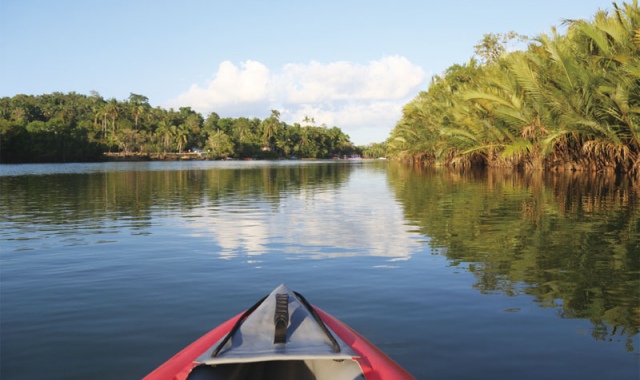 [보홀트래블] 보홀 반딧불 단독 투어