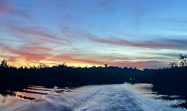 [보홀트래블] 보홀 반딧불 단독 투어