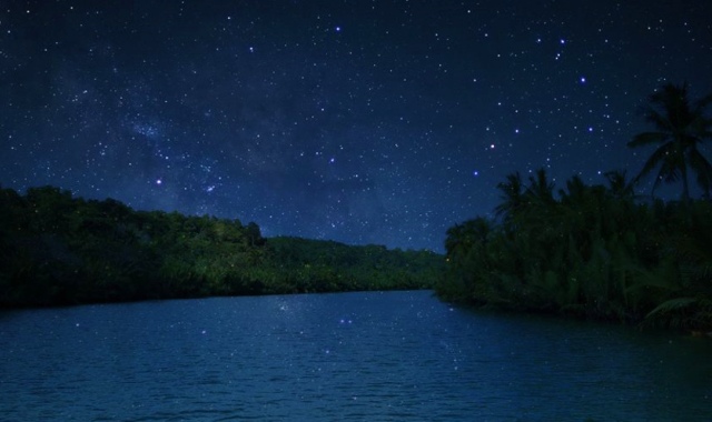 [보홀트래블] 보홀 반딧불 단독 투어