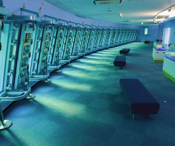 activity_detail_image