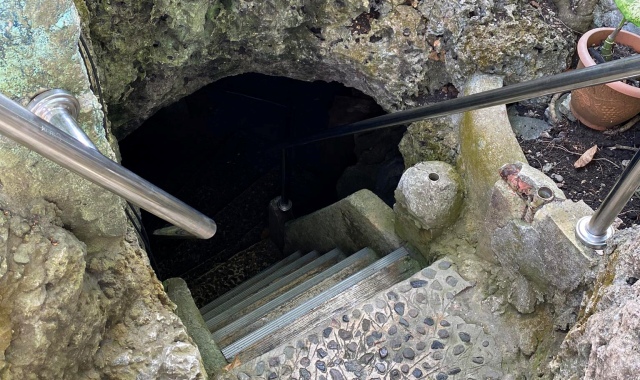 보홀 나팔링 & 히낙다난 스노클링 단독 투어 (오전, 오후 투어 선택 / 보홀트래블)