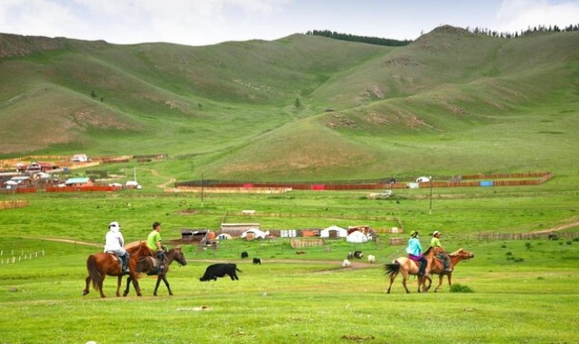 [노메코] [2박3일] 몽골 미니사막과 테를지 별자리 캠프까지 알찬 3일 코스!