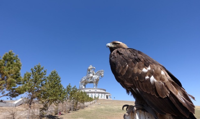[노메코] [2박3일] 몽골 테를지 국립공원 만끽하기 투어