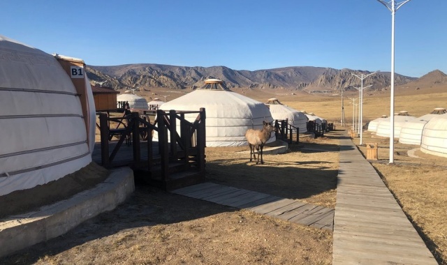 [노메코] [2박3일] 몽골 테를지 국립공원 만끽하기 투어