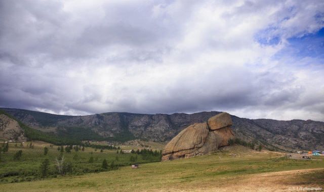 [노메코] [당일 투어] 몽골 테를지 국립공원 일일 투어