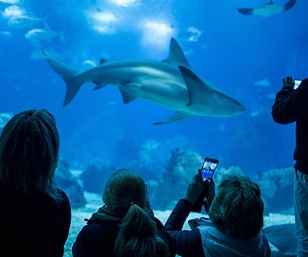 activity_detail_image