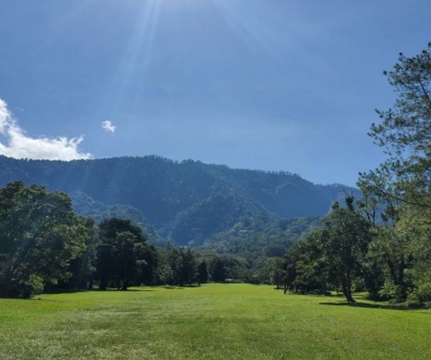 activity_detail_image