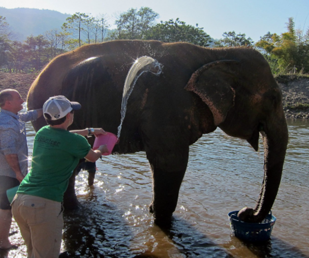 activity_detail_image