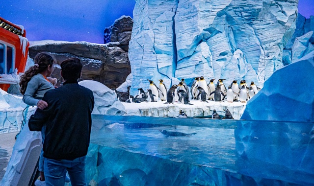 activity_detail_image