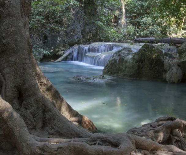 activity_detail_image