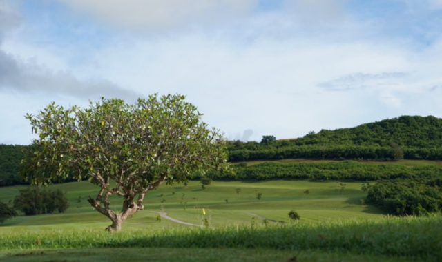 괌 컨트리 클럽 오브 더 퍼시픽 CCP - 18홀 그린피