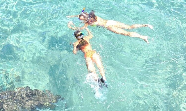 하와이 하나우마베이 스노클링 투어 (장비 무료 대여)