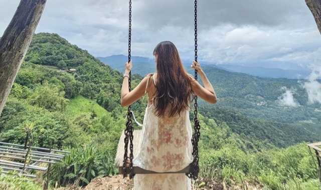 치앙마이 몬쨈 & 엘리핀팜 & 싸이프레스레인 & 도이수텝 야경 하루에 모두 만나는 투어