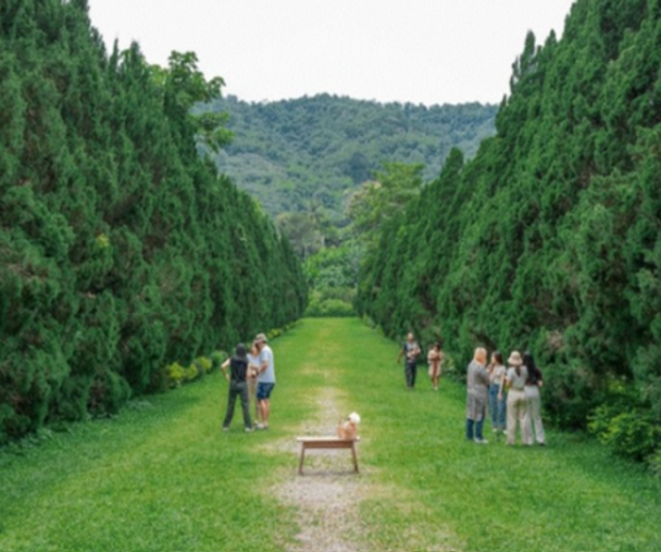 activity_detail_image