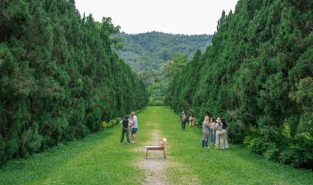 [치앙마이 핫플 명소] 엘리핀팜 & 싸이프레스레인 & 몬쨈 투어