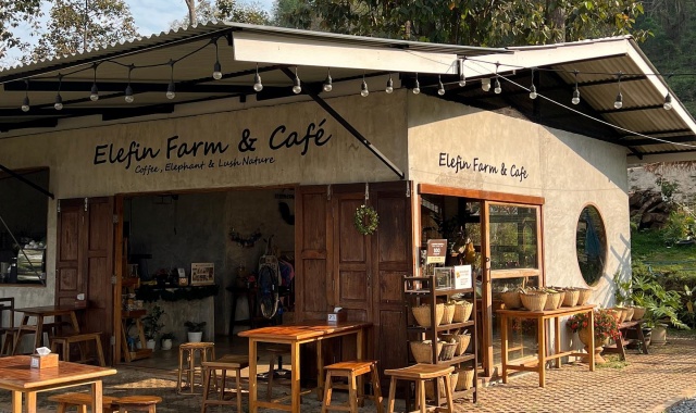 [치앙마이 핫플 명소] 엘리핀팜 & 싸이프레스레인 & 몬쨈 투어