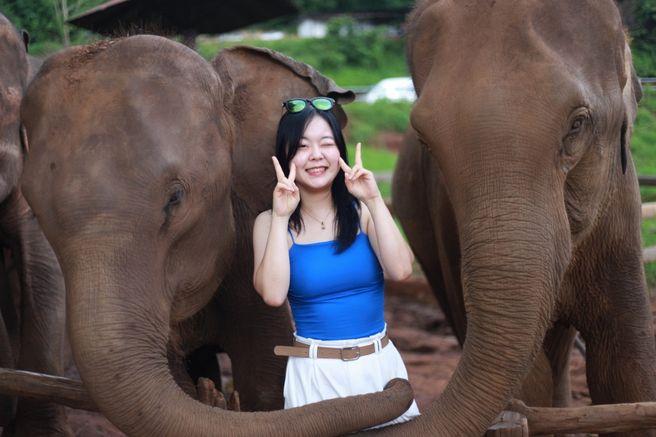 チェンマイ・エレファントファーム&モンチャムデイツアー
