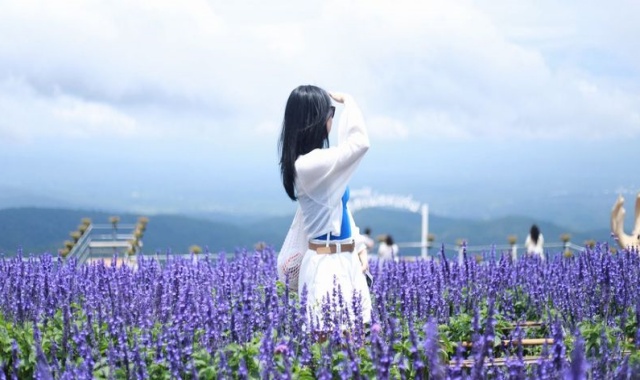 [치앙마이 핫플 명소] 엘리핀팜 & 싸이프레스레인 & 몬쨈 투어