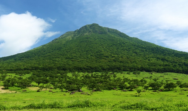 [진에어 탑승객 전용] 후쿠오카 고쿠라역 출발: 유후인 유후다케 벳푸 가마도 지옥 버스 투어
