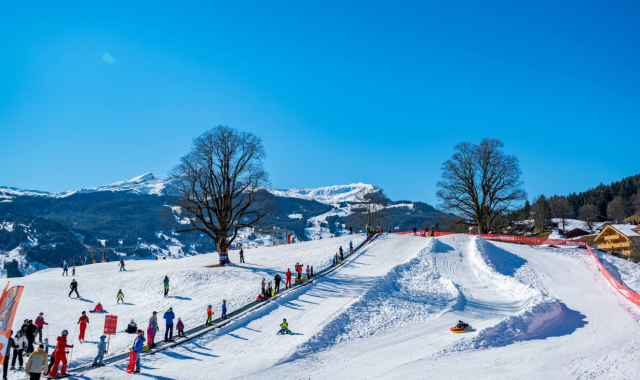 인터라켄 스키 & 스노보드 오후 클래스