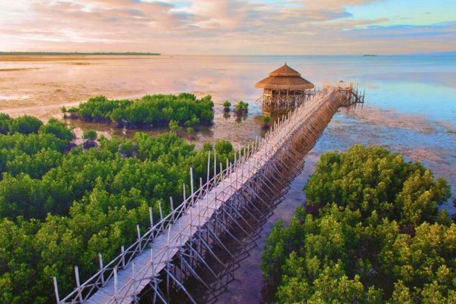 ボホール ノースゼン ヴィラ パンラオ デイパス